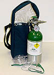 sholderbag